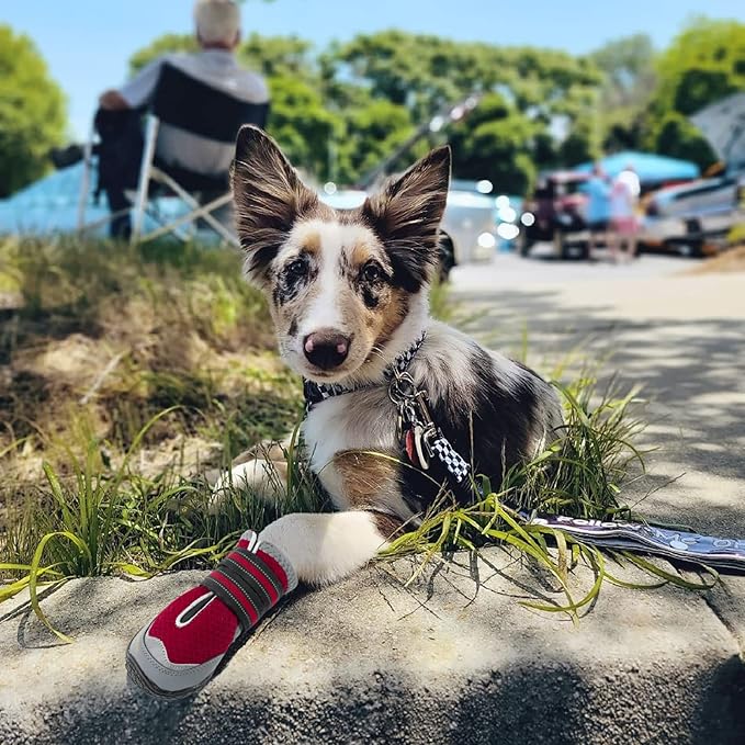 QUMY 4PCS Dog Boots for Large Dogs, Medium Dog Shoes & Paw Protectors for Hot Pavement, Summer Heat Protection, Mesh Breathable Nonslip Dog Booties for Hardfloors, Walking Running Hiking Red Size 5