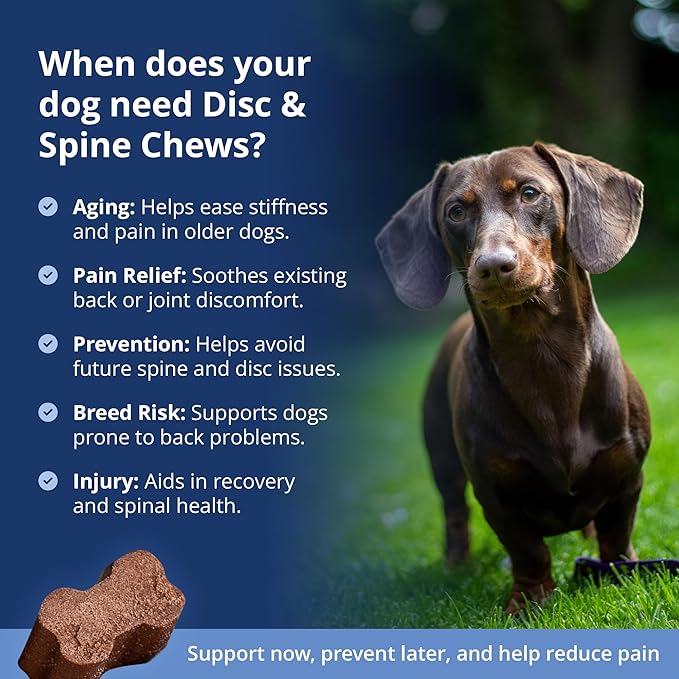 Under The Weather Pet Disc & Spine Health Chews for Dogs | Vet Formulated Dog Chews Spinal Disc Support Supplement | Ideal for Pugs French Bulldogs Dachshunds & Long-Backed Breeds with IVDD | 60 Count