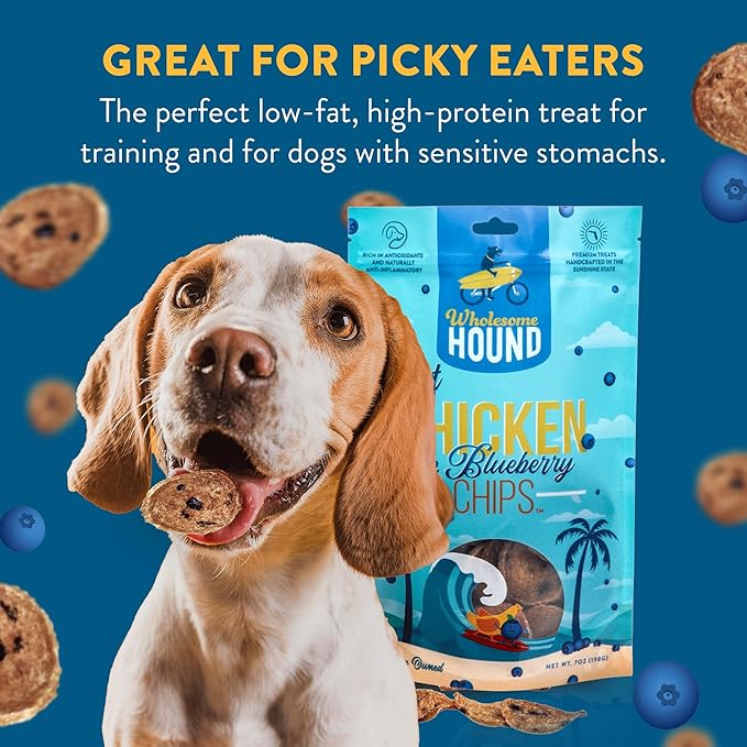 Just Chicken & Blueberry Chips | Two Premium Ingredient & Healthy Dog Treats Rich in Antioxidants | All Natural Canine Rewards | All Breed Sizes Dog Training Treats | Made in USA - 7oz