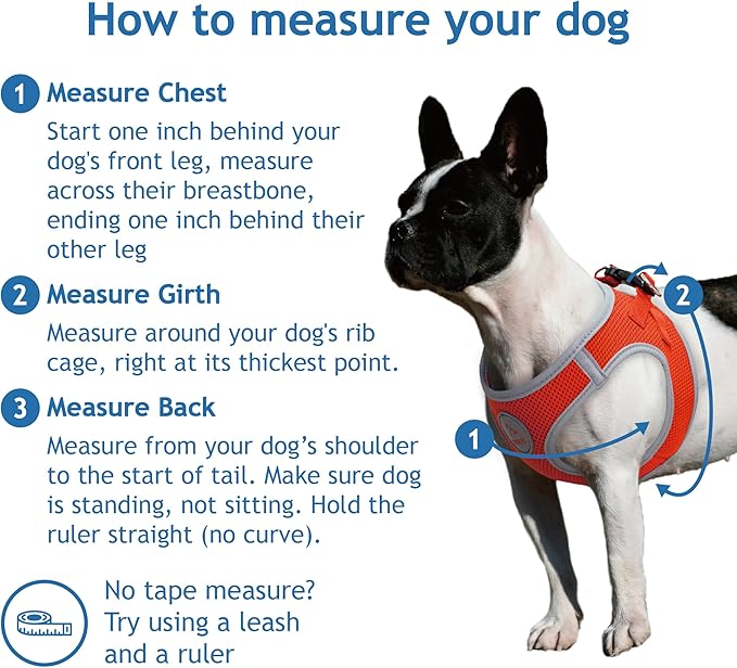 Kruz Dog Harness (Chest 14.5"-15.5", Weight 6–10 lbs) Athletica Adjustable Heavy Duty No Choke Puppy Vest for Small Dogs Lightweight Air Mesh, Reflective, Puppy Essentials – Amethyst, Small