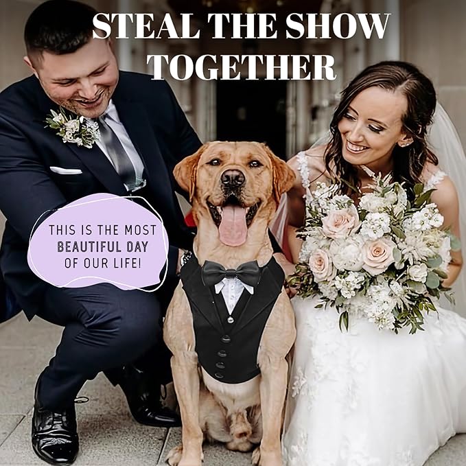 AVERYDAY Dog Tuxedo for Wedding Outfit, Dog Suit and Tie Costumes for Birthday, Halloween, Cosplay, Christmas Party, Pet Formal Wear with Bowtie, Tux for Medium Large Dogs, Bulldog, Labrador, Husky