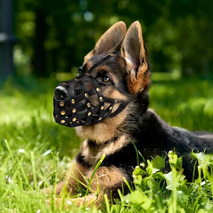 OOPSDOGGY Doberman Dog Muzzle for Large Dogs - Leather Breathable Secure Basket Muzzle for Large Breeds Husky German Shepherd Prevents Biting No Chewing Adjustablу (Black, Size 3 - Doberman)