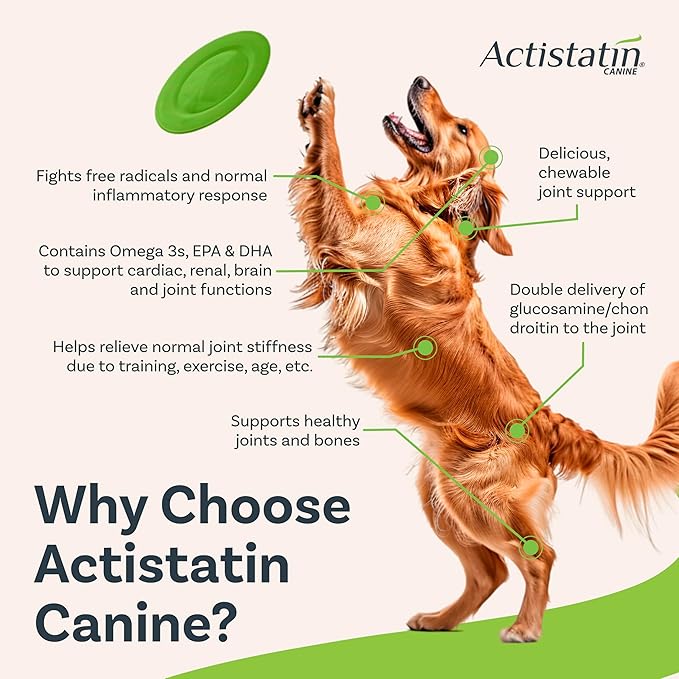 Actistatin Canine Large Dog Soft Chews, 60ct – Patented Extra-Strength Joint, Cartilage, Soft Tissue Supplement: Glucosamine, Chondroitin, Manganese, MSM, L-Carnitine – High Absorption, Fast Results