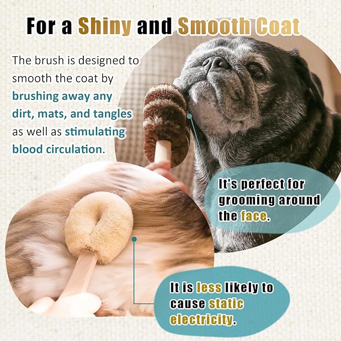 Dog Grooming Massage Tawashi Brush with Wood Handle Less Static Natural palm fiber Made in Japan (Small dog A)
