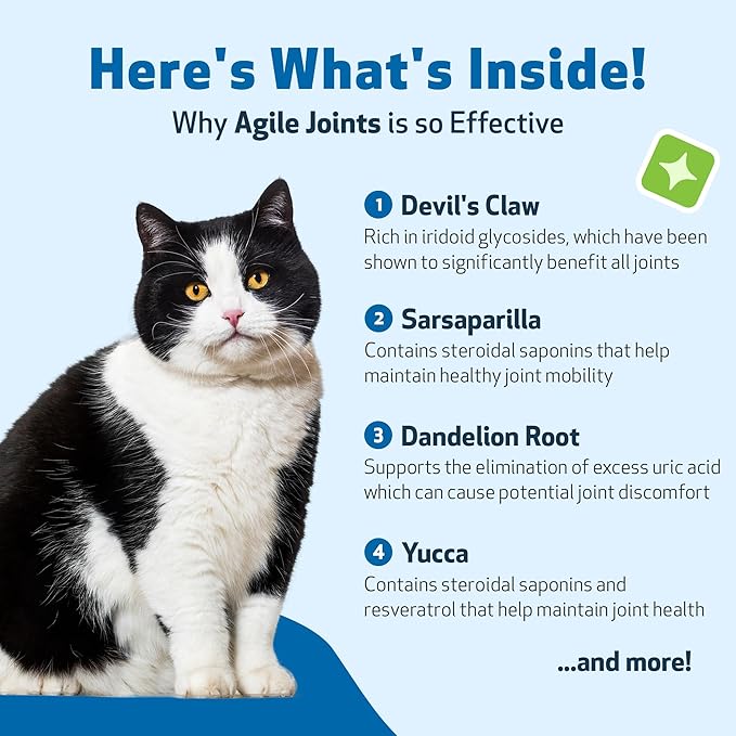 Pet Wellbeing Agile Joints for Cats - Veterinarian-Formulated - Hip and Joint Health, Mobility, Devil’s Claw, Boswellia, Joint Ligament and Cartilage - Herbal Supplement 4 oz (118 ml)