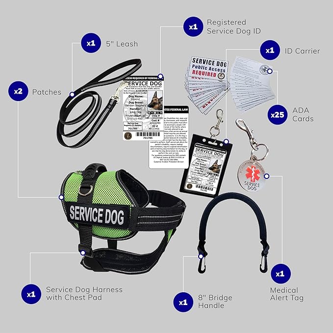ActiveDogs Full Service Dog Kit - Large Lime - Service Vest Harness with Handle, ID Holder, ADA Cards, Medical Alert Keychain, Leash & Patches