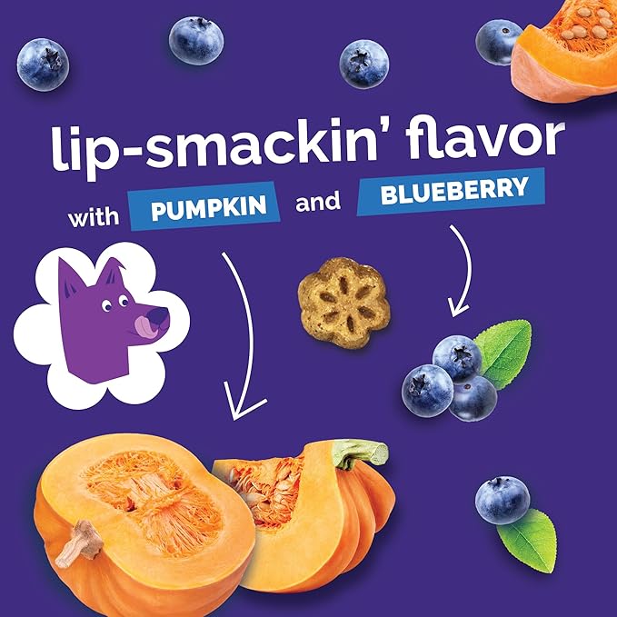 Fruitables Skinny Mini Dog Treats, Healthy Pumpkin Treat for Dogs, Low Calorie & Delicious, Puppy Training, No Wheat, Corn or Soy, Made in The USA, Pumpkin and Berry Flavor, 12oz