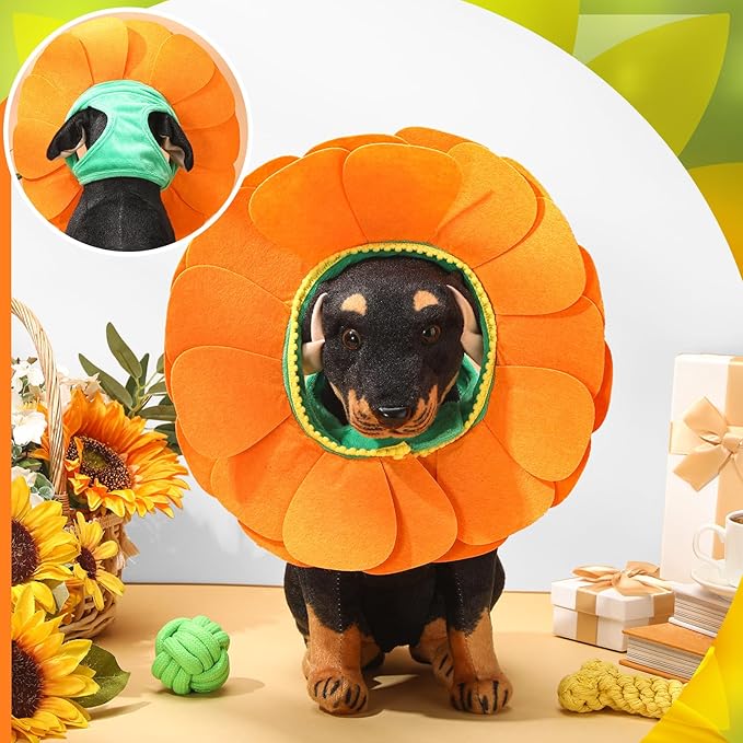 Pet Sun Flower Hat Halloween Pet Sunflower Costume for Dog Cat Puppy Dress up Collar Costume Hat Outfit Cosplay Halloween(Small)