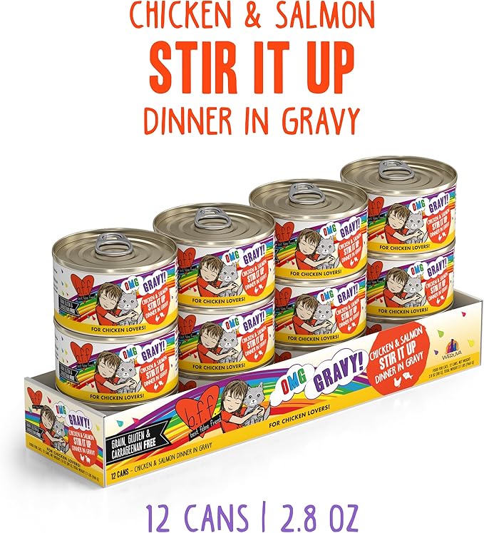 Weruva B.F.F. OMG - Best Feline Friend Oh My Gravy!, Chicken & Salmon Stir It Up with Chicken & Salmon in Gravy, 2.8oz Can (Pack of 12)
