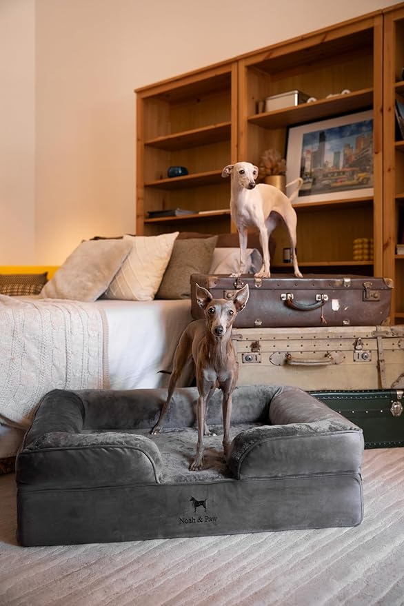 NOAH & PAW Large Dog Bed, 35x25x11 Inch, Orthopedic Dog Beds, Eggshell Memory Foam Infused with Cooling Gel, Inner Cover, Waterproof, Machine Washable (Velvet Sofa Collection)