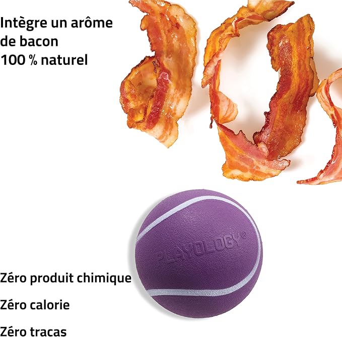 Playology Dog Toys | Squeaky Chew Ball - Bouncy Durable Floating Fetch Ball for Dogs | Jumbo Bacon Scented Toy - Easy to Clean and Made from Non Toxic Materials