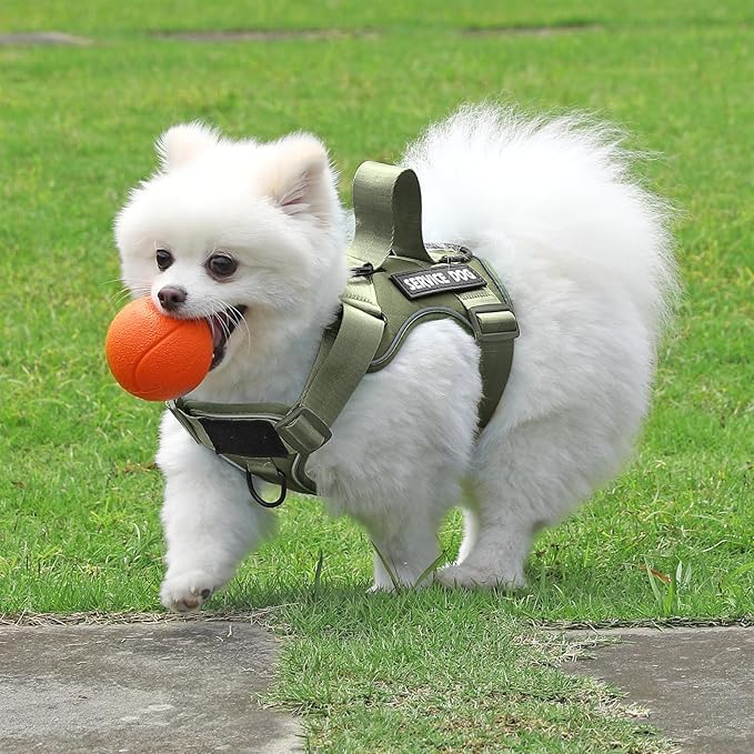 Demigreat Service Dog Harness, Reflective Dog Vest Harness with 5 PCS Patches, Adjustable Soft Oxford Pet Harness, Inner Layer Mesh, Easy to Control for Small Medium Large Dogs