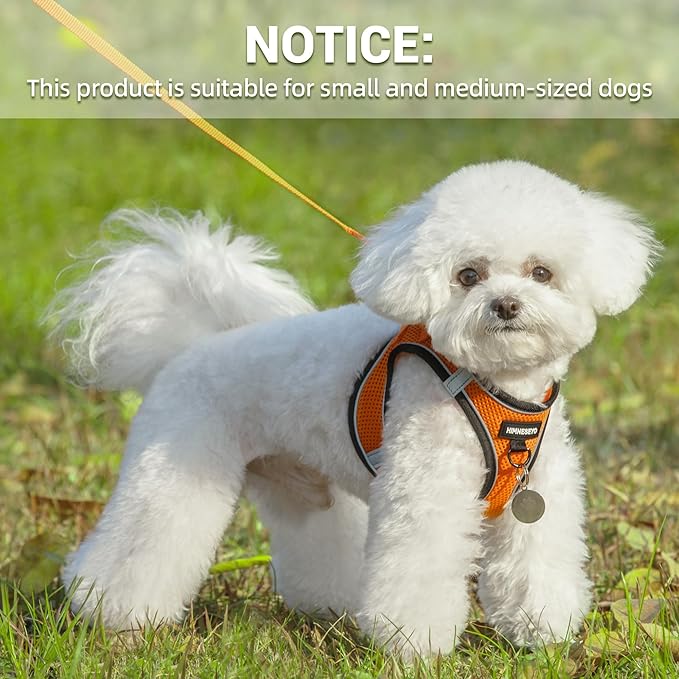 Dog Harness and Leash Set, Dog Harness for Dogs No Pull, No-Chock Step-in Reflective Breathable Lightweight Easy Walk Vest Harnesses with Safety Buckle for Small Medium Dogs, Cats (Orange, XS)