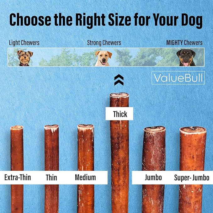 ValueBull Bully Sticks for Dogs, Thick 6 Inch, 10 Count - All Natural, Grass Fed, Single Ingredient, Long Lasting Dog Treats