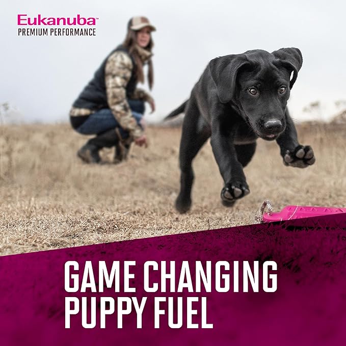 EUKANUBA Premium Performance Puppy Pro Puppy Dry Dog Food, 35 lb Bag