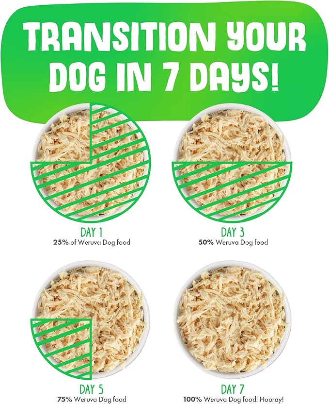 Weruva Classic Dog Food, Hot Dayam! with Lamb in Gelée, 14oz Can (Pack of 12)