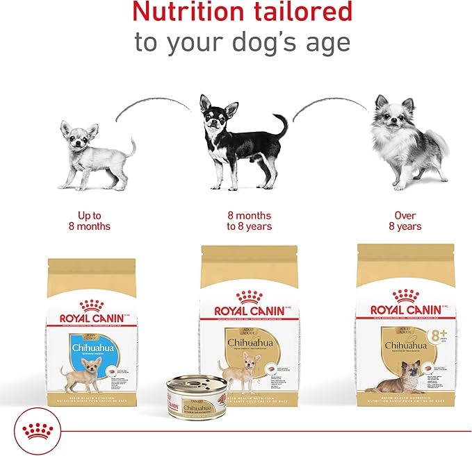 Royal Canin Breed Health Nutrition Chihuahua Adult Loaf in Sauce Wet Dog Food, 3 oz can (24-count)