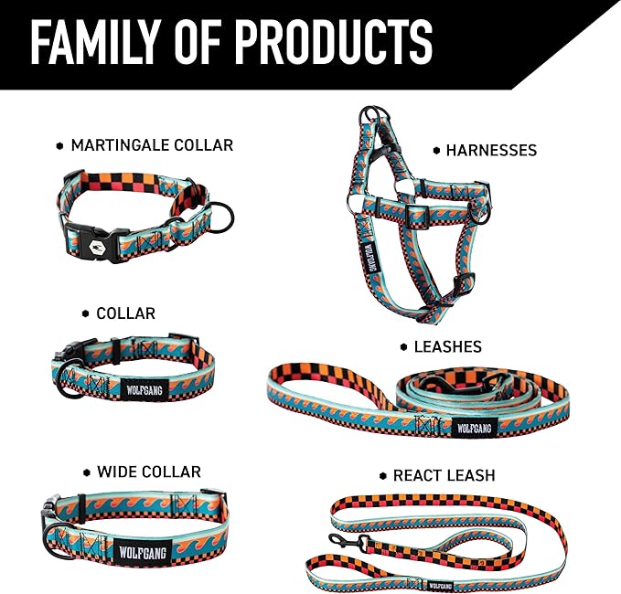 Wolfgang Heavy Duty Martingale Dog Collar with Quick Release Nylon Buckle for Walking & Training, BuenaOnda Print, Medium