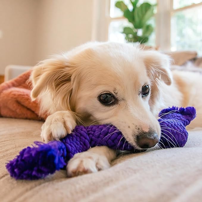 Playology Dog Toys | Dri-Tech Dental Rope Toy for Dogs - Gentle on Teeth | Medium Pork Sausage Scented Toy - Easy to Clean and Made from Non Toxic Materials