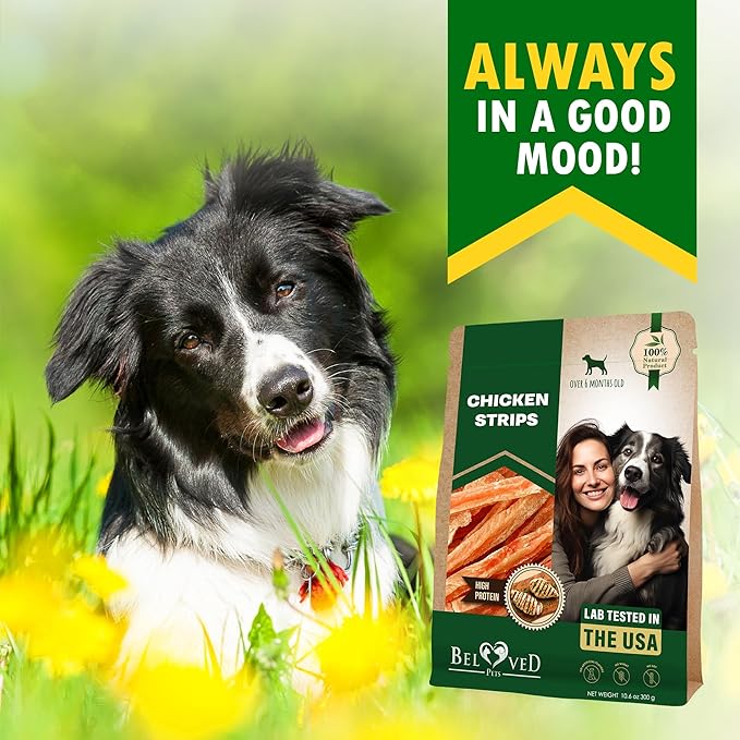 Beloved Pets Dog Treats Chicken Jerky Strips 11 oz - Human Grade Meat Sticks - Natural Pet Dried Snacks Rawhide - Free - Long Lasting Chews for Large & Small Dogs - Best for Training & Healthy Teeth