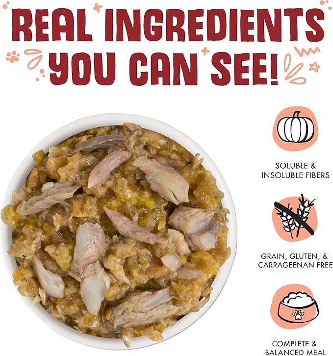 Weruva Classic Dog Food, Marbella Paella with Mackerel & Pumpkin in Aspic, 14oz Can (Pack of 12)