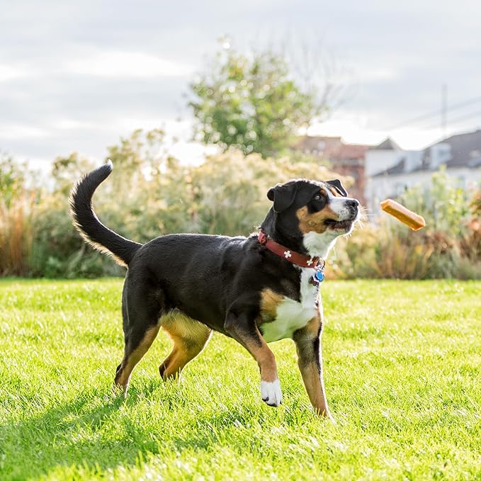 peakNpaws Himalayan Yak Cheese Dog Treats - Natural Chews for Aggressive Chewers - Grain-Free, Easily Digestible, Promoting Oral Health (3 Chews/24 oz Jumbo Size)