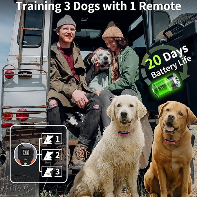 PaiPaitek No Shock Dog Training Collar with Remote 3300ft Range, Strong Vibrating Dog Collar Beep and Vibrate Only, Waterproof & Rechargeable Vibration Collar for Small Medium Large Dogs - No Prongs