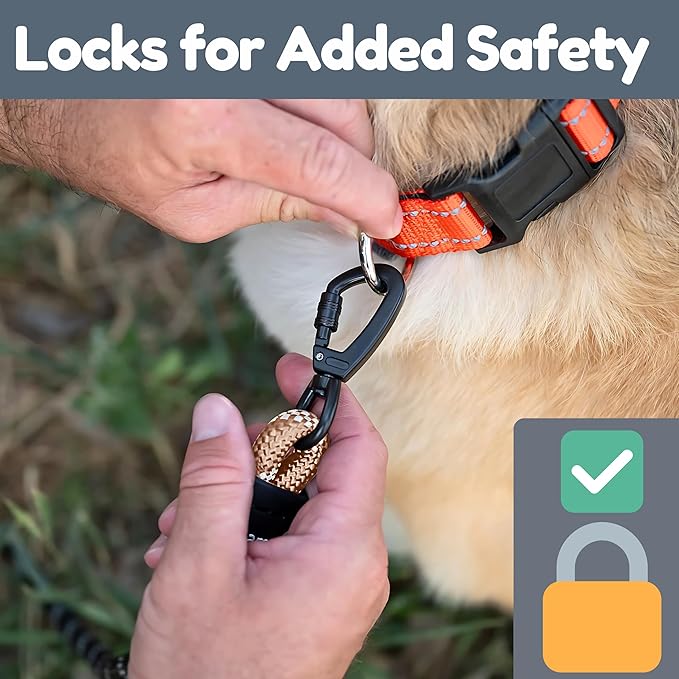 Premium 6 Ft Dog Leash - Two Extra Padded Handles, Heavy Duty Leashes for Medium Dogs to Large Breeds, Reflective, Shock-Absorbing, Anti-Pull Rope Leash, Strong Pet Lead for Everyday Walks - Roam Gear