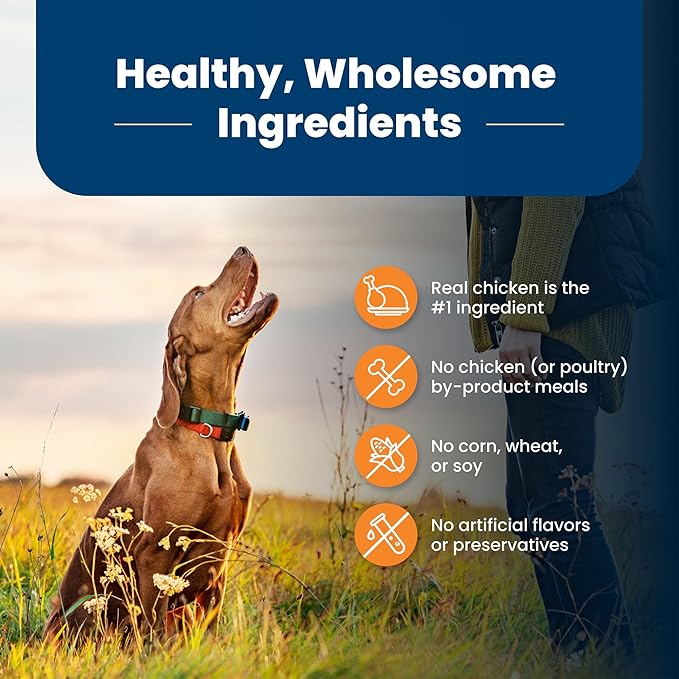 Blue Buffalo Life Protection Formula Large Breed Adult Dry Dog Food, Promotes Joint Health and Lean Muscles, Made with Natural Ingredients, Chicken & Brown Rice Recipe, 30-lb Bag