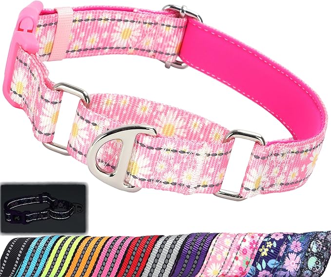 Martingale Collar for Dogs - Pink Daisy Reflective Nylon, No Slip Choke Heavy Duty Collar with Quick Release Buckle & Padded Comfort - Safe Fit for Training & Walking Small