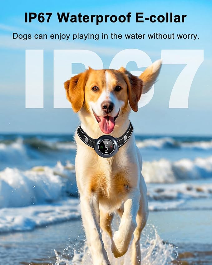 2-in-1 Dog Shock Collar & Dog Bark Collar - Rechargeable Dog Training Collar with Remote Control for 5-150 lbs, Dog Collars 5 Sensitivity Levels, IP67 Waterproof for Large Medium Small Dogs