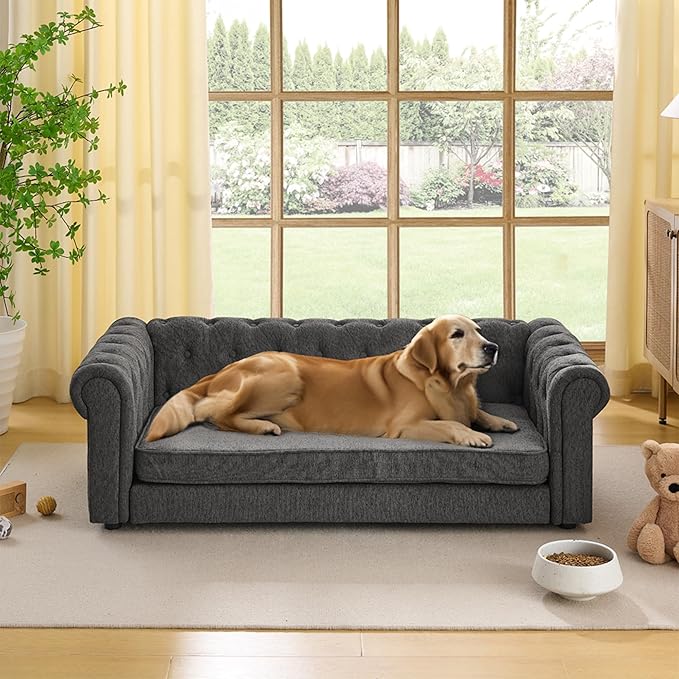 Dog Sofa Couch for Medium to Large Dogs, 55" Memory Foam Pet Sofa Couch with Washable Fabric, Durable Elevated Dog Bed with Legs, Removable Cushion for Medium and Large Dogs, Dark Grey
