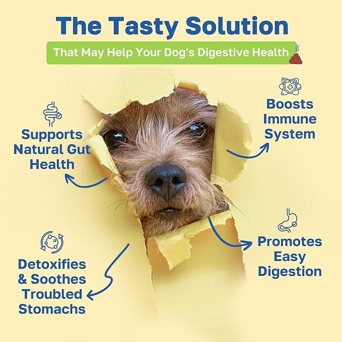 Happy Paws Digestive Supplement for Dogs, Gut Health & Immune Support for All Breeds & Ages, Made with Probiotics, Enzyme Blend & Ginger Root, Pumpkin Flavor, Organic, Non GMO, 200 Soft Chews