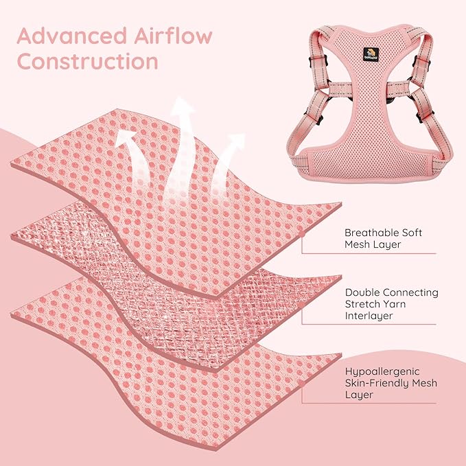 BELLA & PAL Adjustable Step-in Dog Harness, Puppy No-Pull Vest with Leash Set for XS/Small & Medium Dog, Breathable All-Weather Mesh, Reflective Strip, Secure Hook & Loop, Buckle Closure, Dual D-Rings