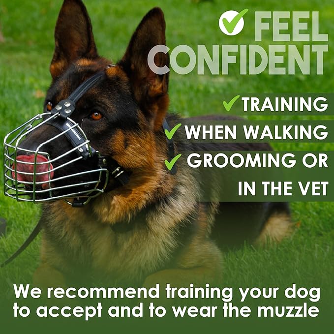 BRONZEDOG Dog Muzzle Wire Basket Metal Mask for Small, Medium and Large Dogs, Breathable, Dog can Drink, Adjustable, Padded, Training, Prevents Biting (Size 6: German Shepherds)