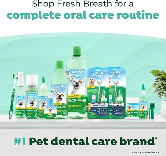 TropiClean Fresh Breath Water Additive for Dogs, Dog Breath Freshener & Teeth Cleaning Solution, No Toothpaste or Toothbrush Required, 16 oz, 3 Pack