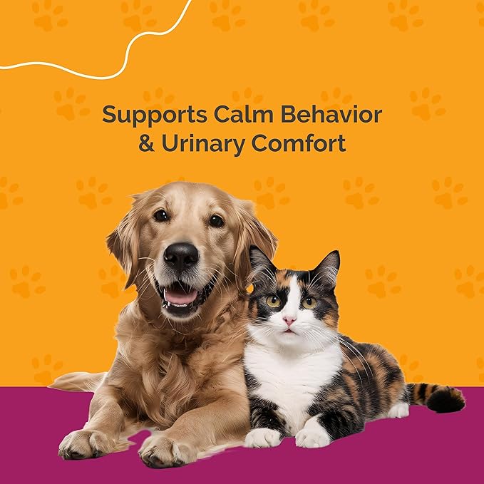 Urinary Tract Infection Treatment for Cat & Dog | Urinary Tract & Kidney Support for Pets | Bladder Infection Treatment | UTI Drops | Veterinarian Recommended