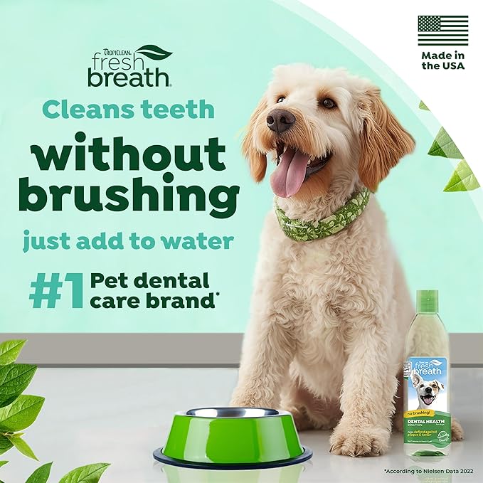 TropiClean Fresh Breath Water Additive for Dogs, Dog Breath Freshener & Teeth Cleaning Solution, No Toothpaste or Toothbrush Required, 16 oz, 3 Pack