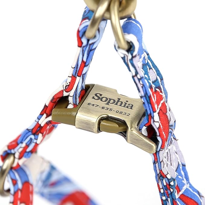 Angie and Allie Organic Cotton Personalized Step in Dog Harness,Custom Dog Halter Vests,Adjustable No Pull Canine Halter Harness for Small Medium Large Dogs