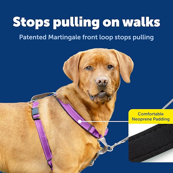 PetSafe 3-in-1 Harness - Comfortable Easy-Walk Dog Chest Harness with Front Leash Attachment to Reduce Pulling, Choking & Gagging - Dog Obedience Gear - Large - Plum