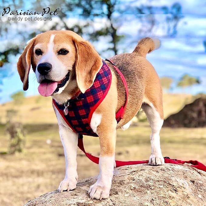 Parisian Pet Adjustable Plaid Red Dog Harness - 100% Mesh Fabric No Pull Vest for Small-Sized Dogs - Cooling for Walking, Running, and Hiking - Puppy Harness - S