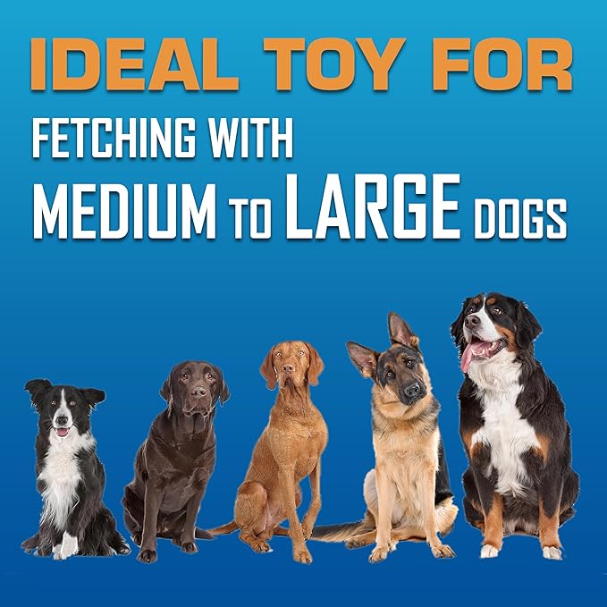 Nerf Dog Atomic Flyer Outdoor Dog Toy, 10 Inch Flying Disc Dog Fetch Toy, Rubber Dog Toy for Medium Dogs and Large Dogs, Orange