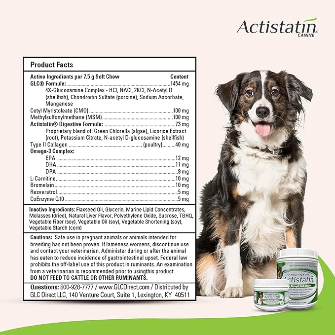 Actistatin Canine Large Dog Soft Chews, 60ct – Patented Extra-Strength Joint, Cartilage, Soft Tissue Supplement: Glucosamine, Chondroitin, Manganese, MSM, L-Carnitine – High Absorption, Fast Results