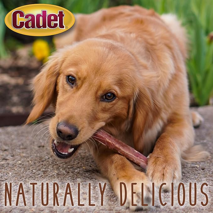 Cadet Bully Sticks for Small Dogs, All-Natural Beef Pizzle, Rawhide-Free Long-Lasting Dog Chews for Aggressive Chewers, 1 Pound