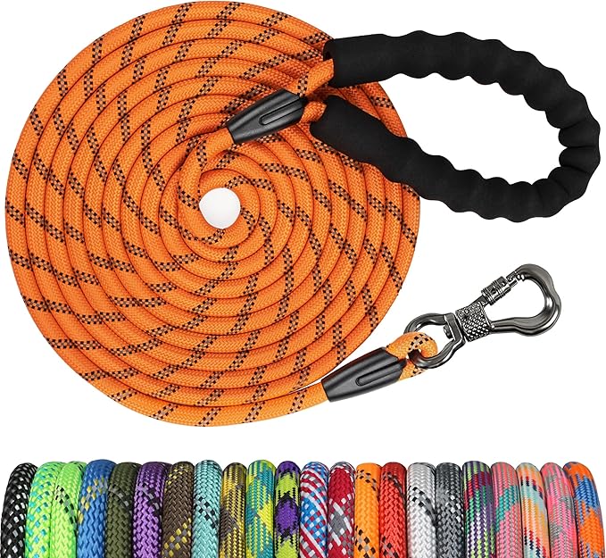 NTR 10FT Strong Dog Leash, Long Dog Leash with Swivel Lockable Hook and Comfortable Padded Handle, Cat Puppy Leash Lead for Small Medium Large Dogs Training, Playing, Camping,or Backyard