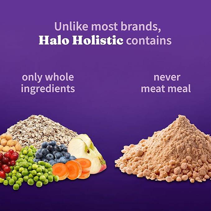 Halo Holistic Plant-Based Recipe With Superfoods, Complete Digestive Health, Vegan Dry Dog Food Bag, Adult Formula, 21-lb Bag