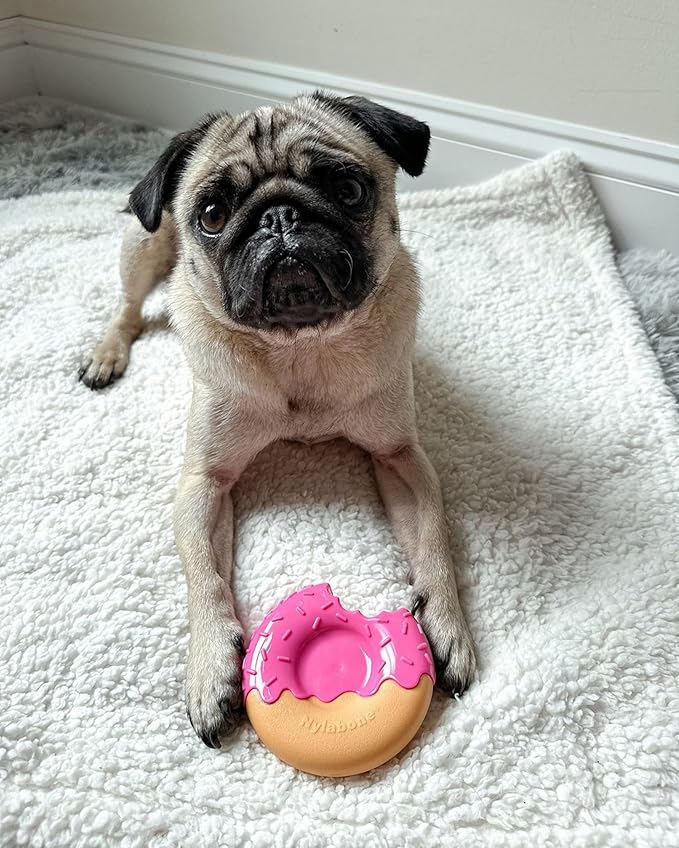 Nylabone Donut Power Chew Toy for Dogs, Dog Toys for Aggressive Chewers, Bacon Glazed Flavor, Medium Dogs - Up to 35 lbs, 1 Count