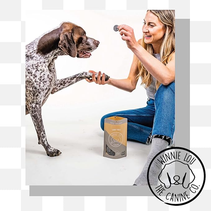 Winnie Lou Organic Healthy Dog Treats – All Natural Crunchy Dog Biscuits Made in USA with Organic Pumpkin, Ginger, Activated Charcoal for Improved Digestion – Tummy Tidbits (Pack of 2)