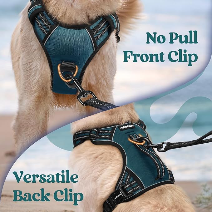 rabbitgoo Dog Harness for Large Dogs, No Pull Pet Harness with Soft Padded Handle, Adjustable Reflective Vest with 3 Buckles, Easy Walking Harness with 2 Leash Clips, Green, M