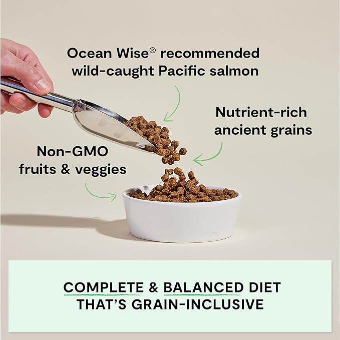 Open Farm, Ancient Grains Dry Dog Food, Protein-Rich & Nutrient Dense, 90% Animal Protein Mixed with Non-GMO Fruits, Veggies and Superfoods, Wild Caugh Salmon Recipe, 4lb Bag